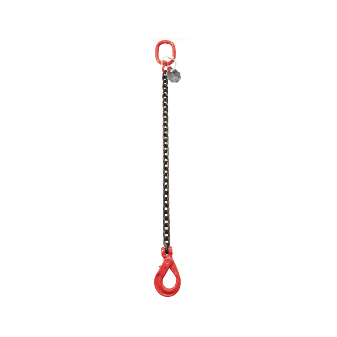 Chain Forerunner with Safety Hooks | 6MM